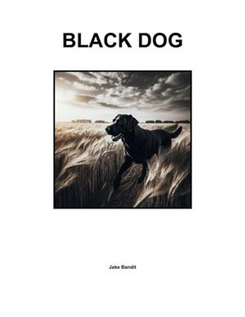 Black Dog