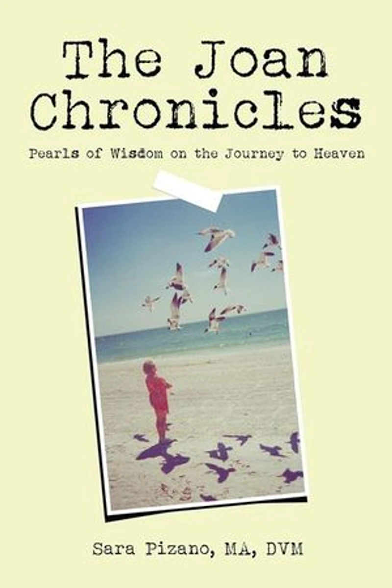 the Joan Chronicles: Pearls of Wisdom on Journey to Heaven