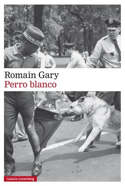 Perro blanco