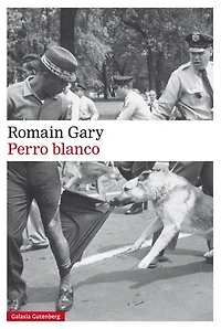Perro blanco