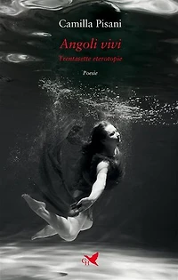 Angoli vivi: Trentasette eterotopìe