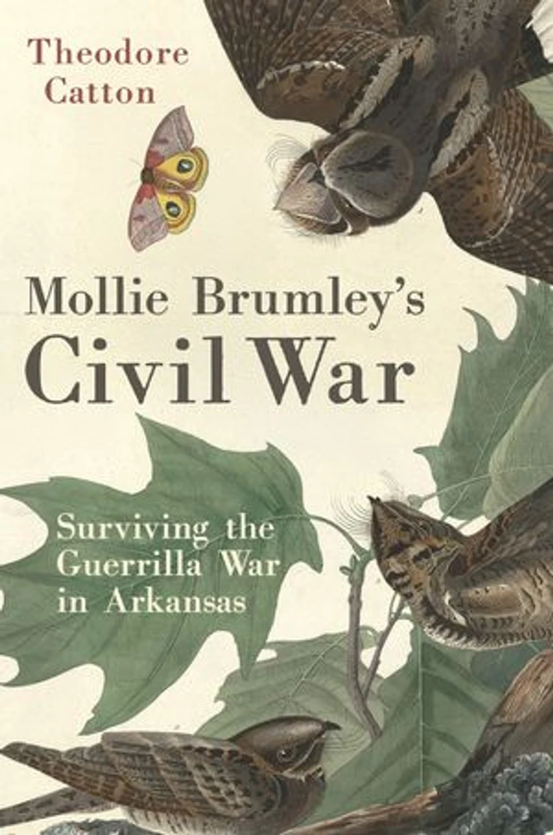 Mollie Brumley's Civil War: Surviving the Guerrilla War Arkansas