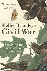 Mollie Brumley's Civil War: Surviving the Guerrilla War Arkansas
