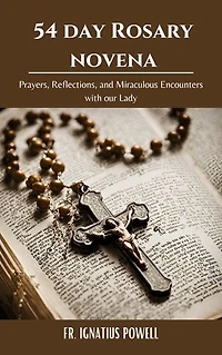 54 day Rosary novena: Prayers, Reflections, and Miraculous Encounters with our Lady