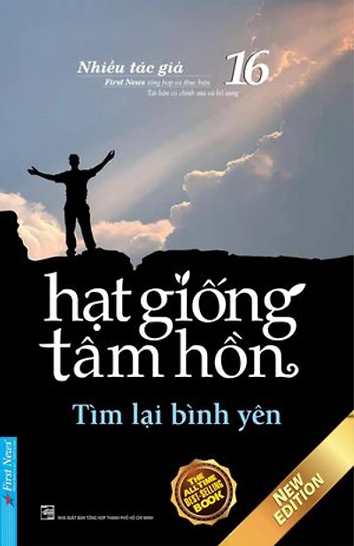 Hạt Giống Tâm Hồn 16 - Tìm Lại Bình Yên: Hạt Giống Tâm Hồn, #16