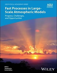 Fast Processes Large-Scale Atmospheric Models: Progress, Challenges, and Opportunities