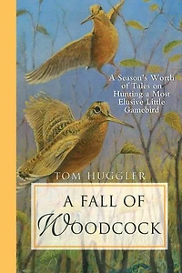 a Fall of Woodcock: Season's Worth Tales on Hunting Most Elusive Little Game Bird