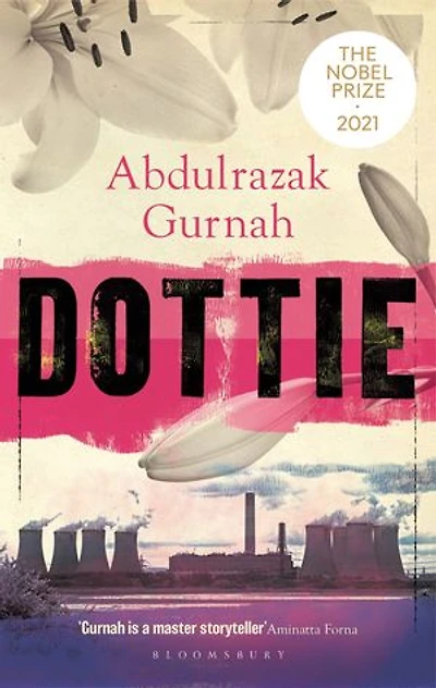 Dottie: By The Winner Of Nobel Prize Literature 2021