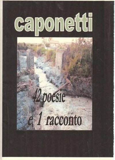 42 poesie e 1 racconto