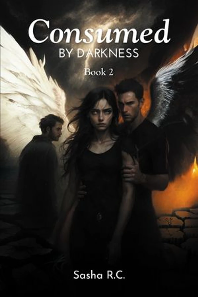 Consumed by Darkness: Book 2
