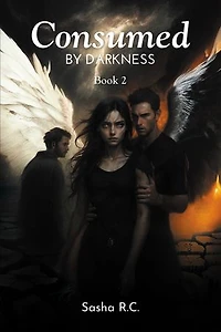 Consumed by Darkness: Book 2