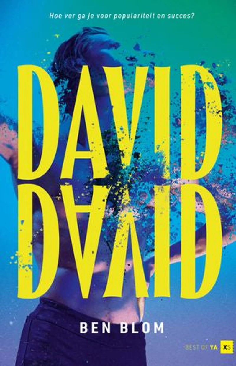 David, David: Hoe ver ga je voor populariteit en succes?