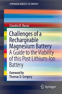 Challenges of A Rechargeable Magnesium Battery: Guide to the Viability this Post Lithium-Ion Battery