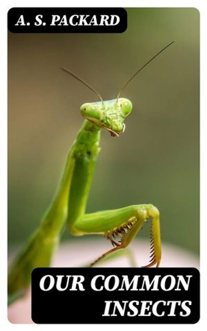 Our Common Insects: A Popular Account of the Insects of Our Fields, Forests, Gardens and Houses