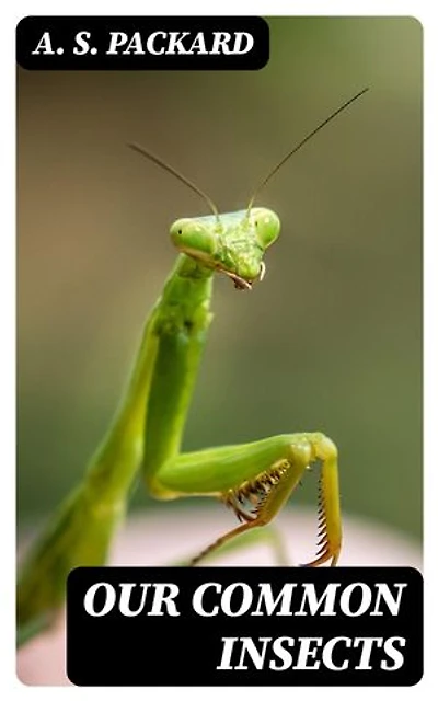 Our Common Insects: A Popular Account of the Insects of Our Fields, Forests, Gardens and Houses