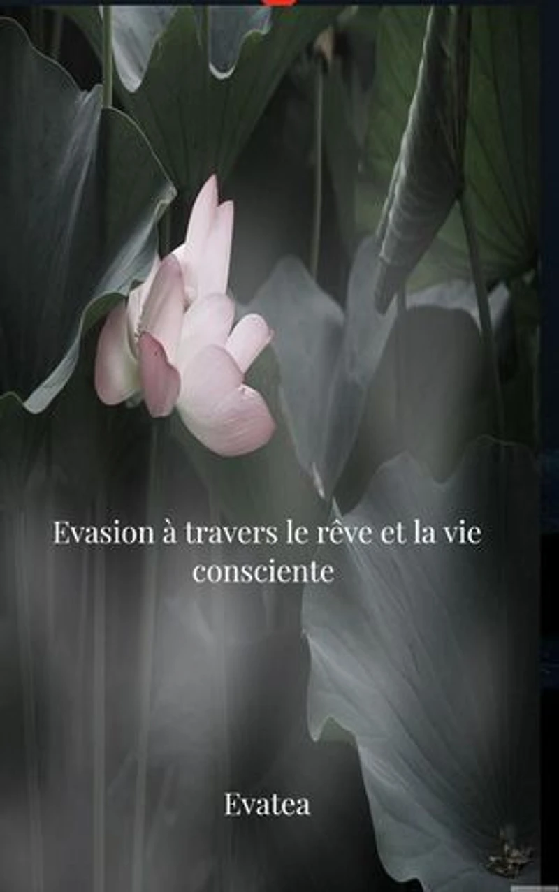 évasion à travers le rêve et la vie consciente