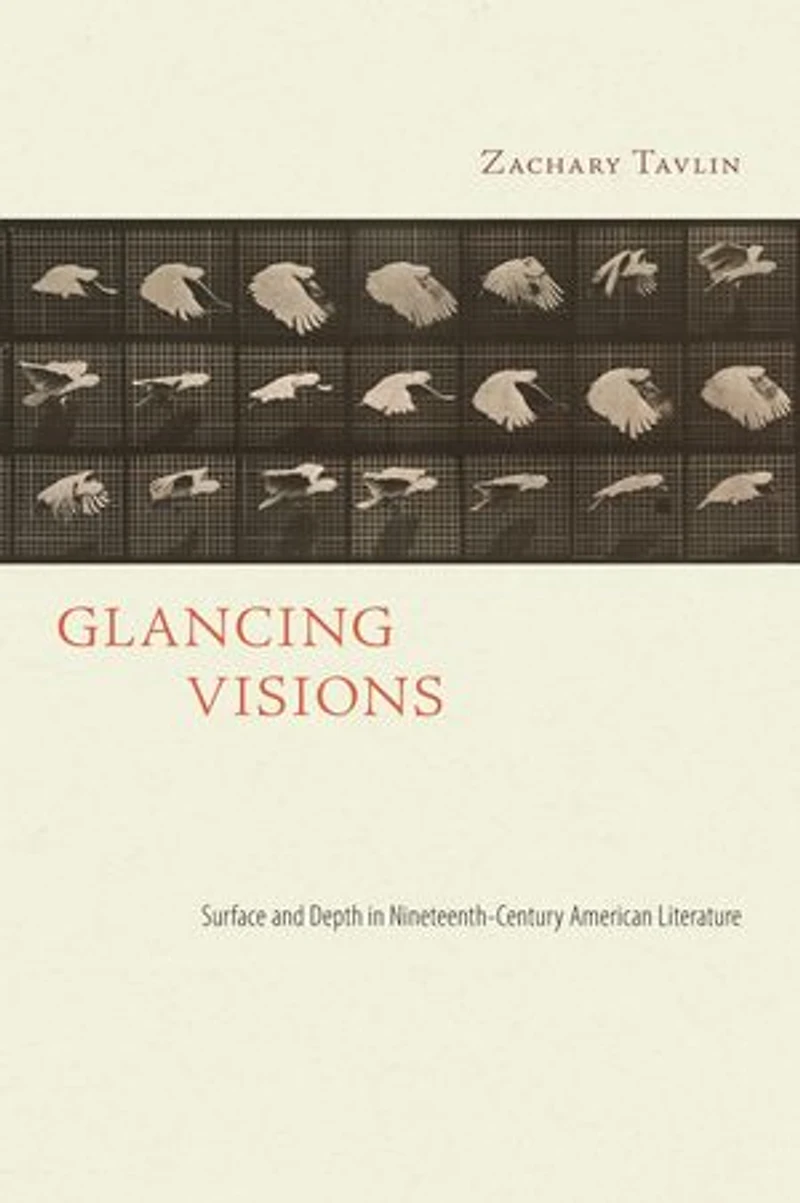 Glancing Visions: Surface and Depth Nineteenth-Century American Literature
