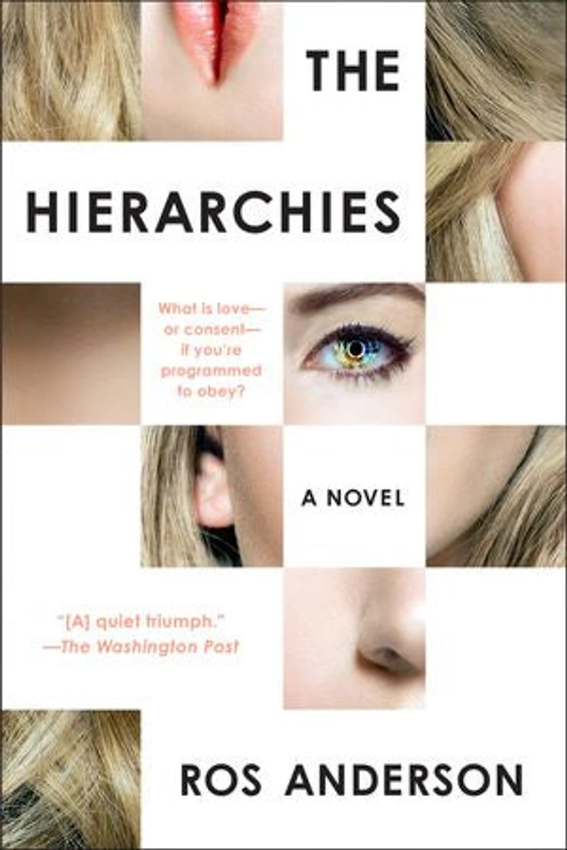 The Hierarchies: A Novel