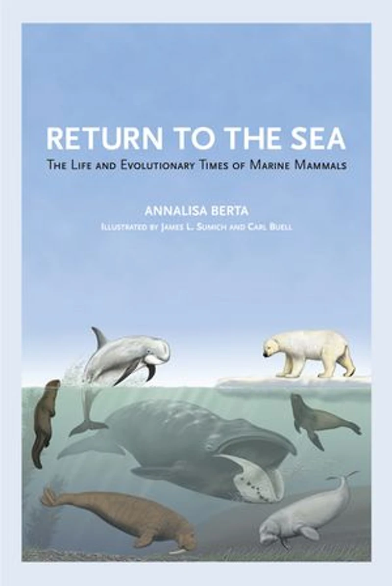 Return To The Sea: Life And Evolutionary Times Of Marine Mammals