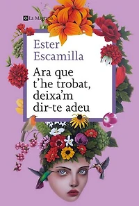 Ara que t'he trobat, deixa'm dir-te adeu