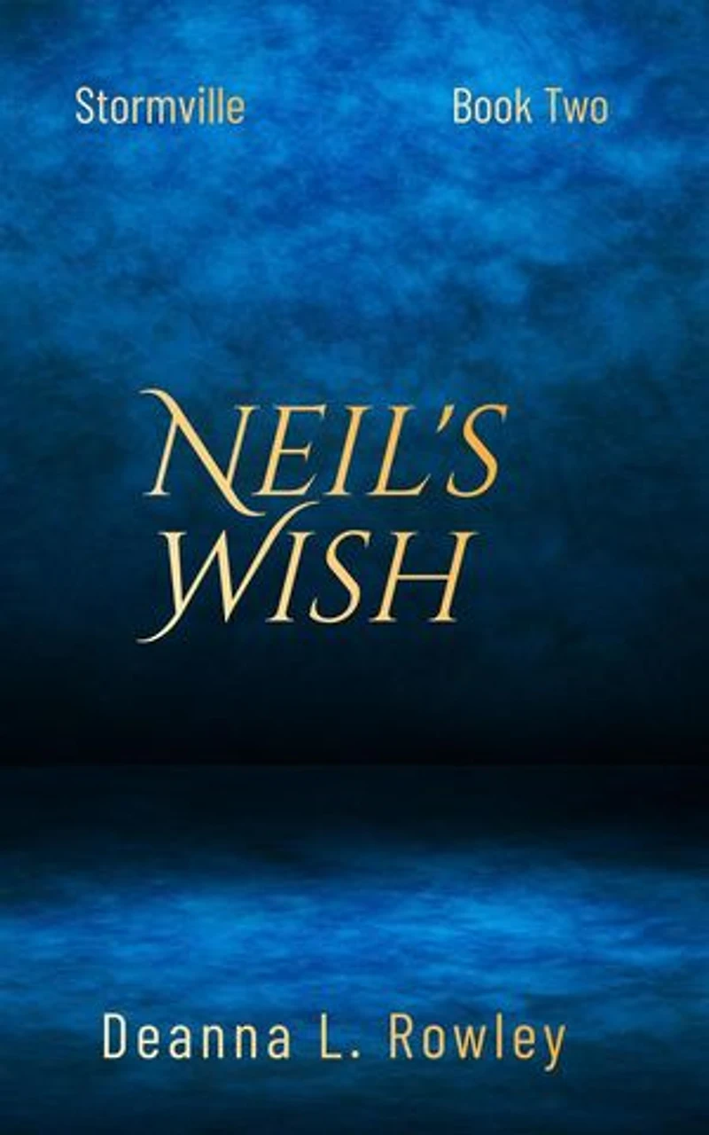 Neil's Wish: Stormville, #2