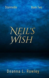 Neil's Wish: Stormville, #2