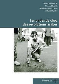 Les ondes de choc des révolutions arabes