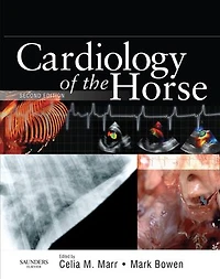 Cardiology of the Horse
