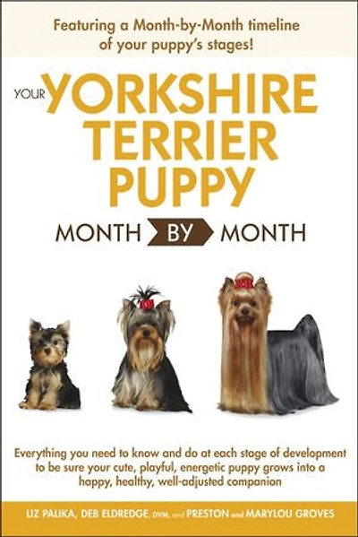Your Yorkshire Terrier Puppy Month By