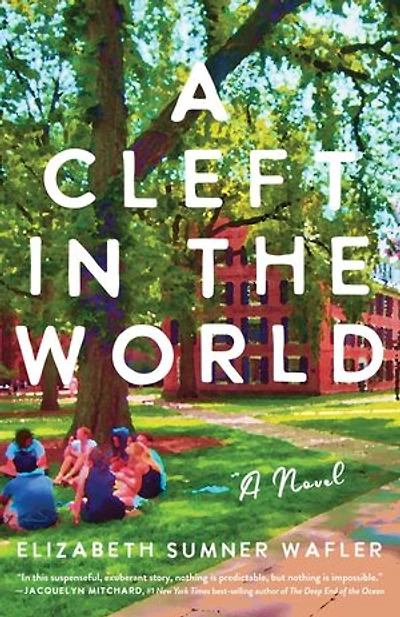 A Cleft the World: Novel