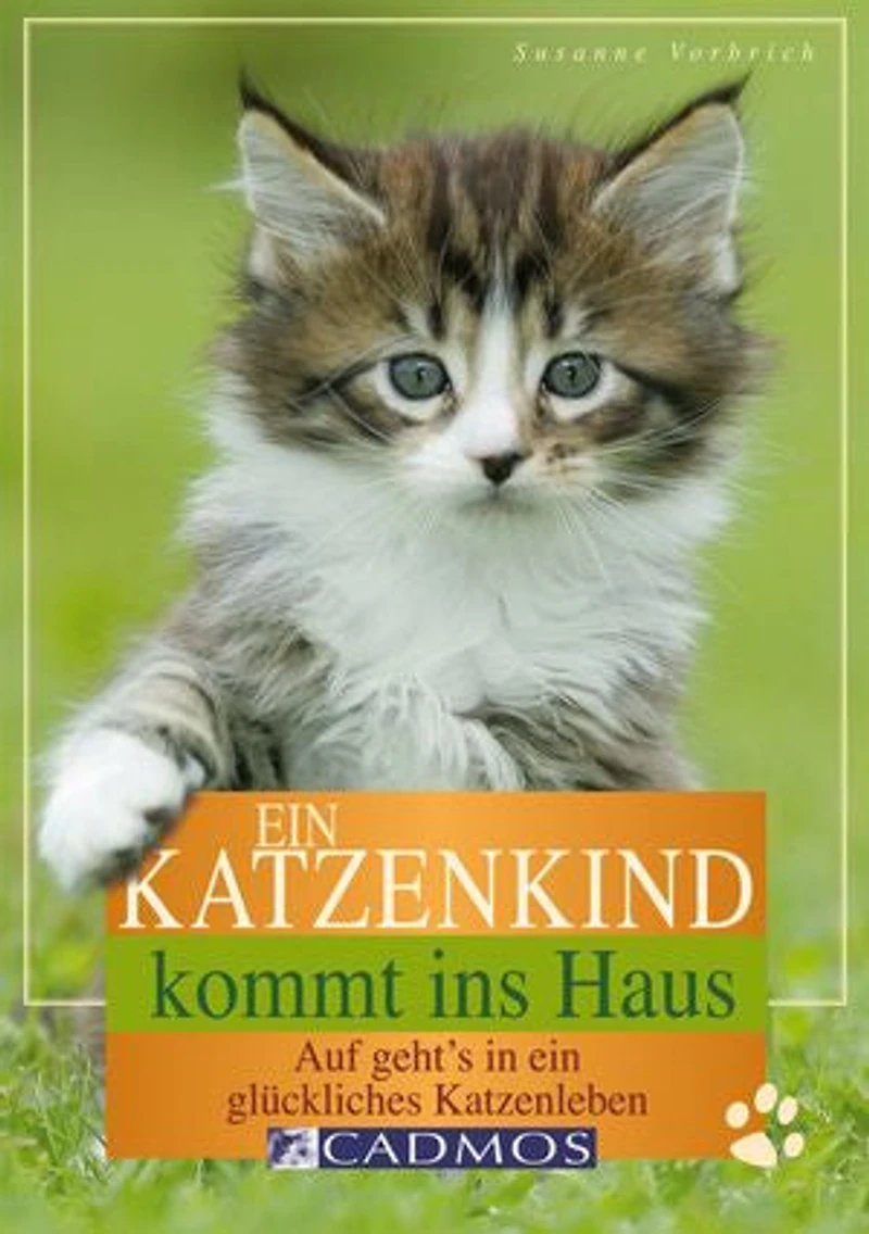 Ein Katzenkind kommt ins Haus: Auf geht's in ein glückliches Katzenleben