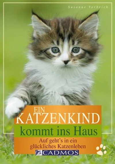 Ein Katzenkind kommt ins Haus: Auf geht's in ein glückliches Katzenleben