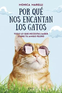 Por qué nos encantan los gatos: Todo lo que necesitas saber sobre tu amigo felino