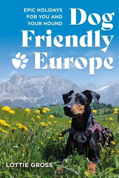 Dog-friendly Europe: Epic holidays for you and your hound