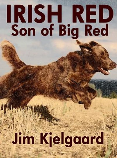 Irish Red, Son of Big Red