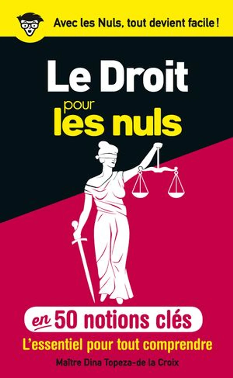Le Droit pour les Nuls en 50 notions clés, 3e éd