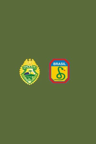 Brio E Vocação