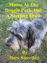 Momo At The Doggie Park And A Starling Show
