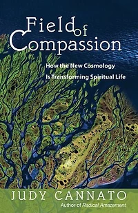 Field Of Compassion: How The New Cosmology Is Transforming Spiritual Life
