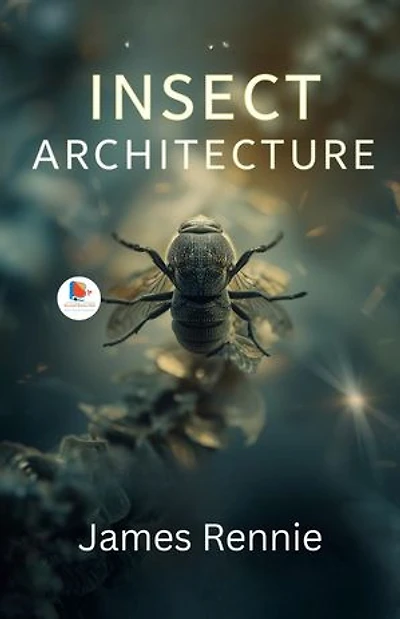 Insect Architecture