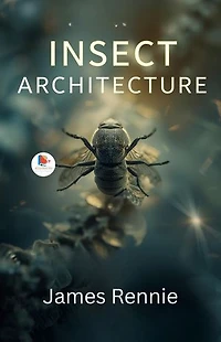 Insect Architecture