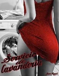 Servicio de lavandería