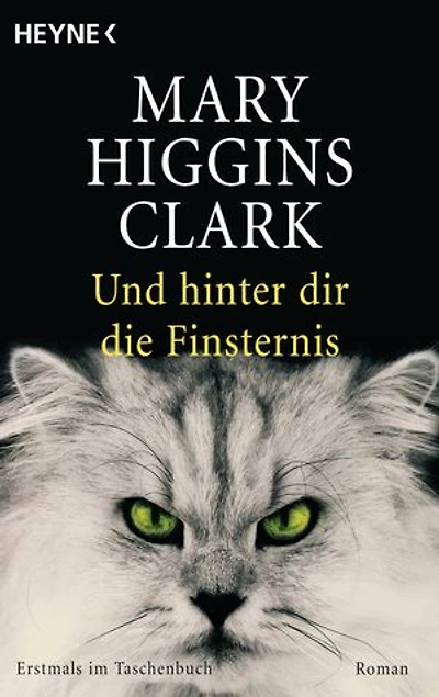 Und hinter dir die Finsternis: Roman