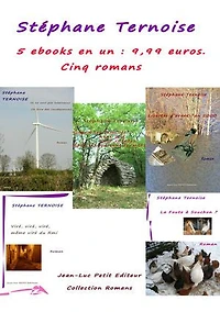 5 ebooks en un : 9,99 euros. Cinq romans: offre promotionnelle livre numérique français avec engagement qualité