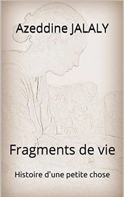 Fragments de vie: Histoire d'une petite chose