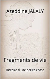 Fragments de vie: Histoire d'une petite chose
