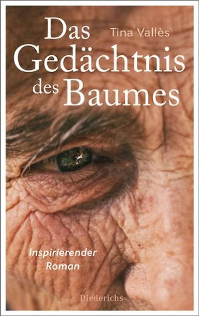 Das Gedächtnis des Baumes: Inspirierender Roman