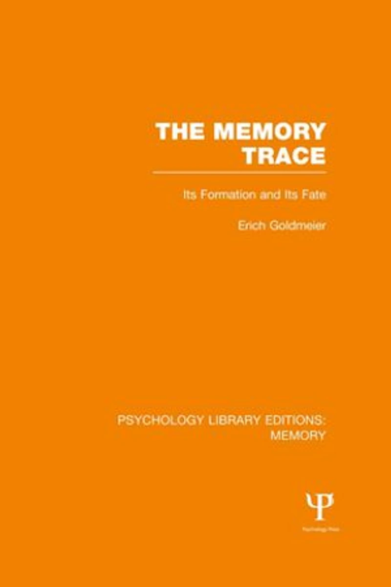 The Memory Trace: its Formation and Fate