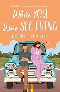 While You Were Seething: A Novel