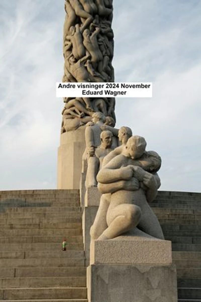 Andre visninger 2024 november